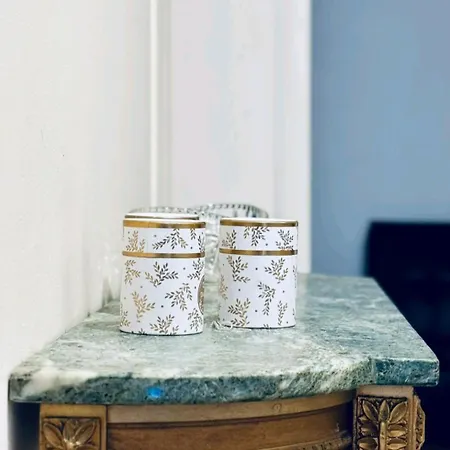 公寓 Maison Marivasia 纳夫普利翁